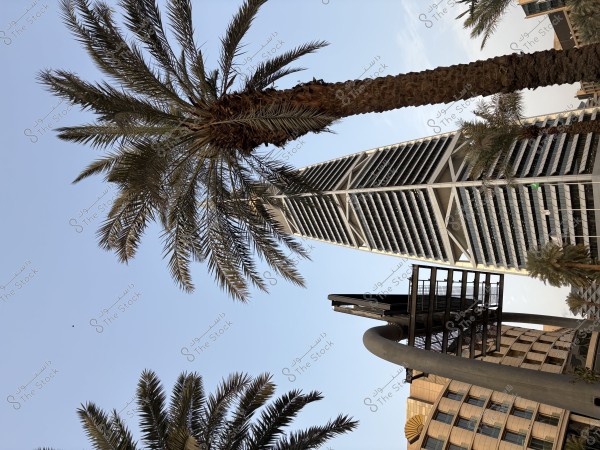 العاصمة بجمال تطورها واصلها بنخيلها وعمرانها