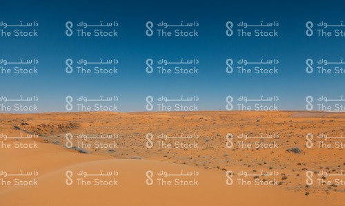 السماء الصافية و الرمال الذهبية في صحراء السعودية