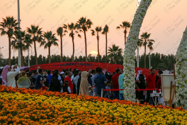 فعاليات مهرجان الزهور، حديقة المناسبات بمدينة ينبع الصناعية، معارض ومهرجانات طبيعية سياحية في المملكة العربية السعودية، الحفاظ على البيئة والتنمية المستدامة، وجهه عائلية ثقافية وترفيهية