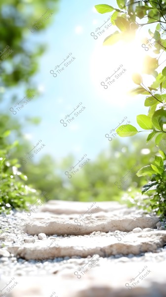 A stone pathway bathed in bright sunlight, surrounded by lush greenery and foliage. The background features a clear blue sky with bright sunlight, adding a vibrant and refreshing atmosphere to the scene.