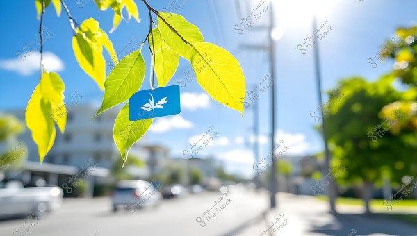 Image of brightly lit green leaves with yellow edges in the foreground, featuring a blue tag with a white emblem hanging from a branch. The background is an out-of-focus street with cars, buildings, and trees in daylight under a blue sky with some clouds.