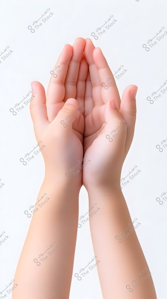 صورتان لأيدٍ متجاورة, معًا في وضع الدعاء. البشرة ناعمة والخلفية بيضاء ومحايدة.