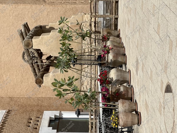 تراث ، باب ، الدرعية ، البجيري ، السويلم ، ثقافة ، ذرة ، ليمون