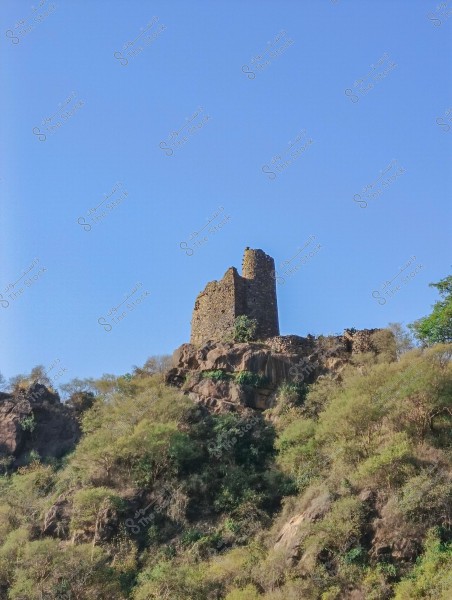 An image depicting an old stone tower situated on top of a hill covered with green plants and shrubs. The tower appears abandoned and is set in the middle of a natural landscape under a clear blue sky.