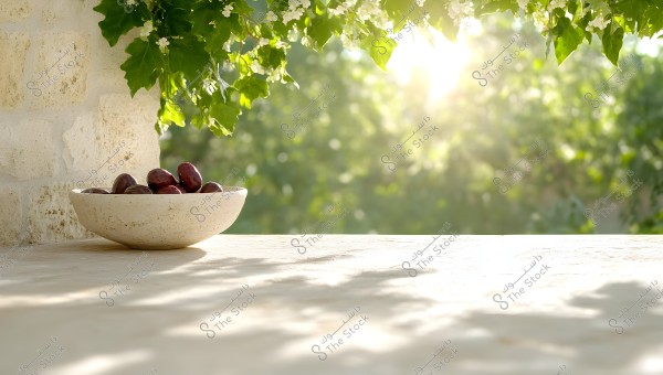 The image shows a stone bowl filled with dark brown dates, placed on a sunlit flat surface. In the background, there are hanging green leaves and small white flowers. There is a light-colored stone wall on the left side. The distant background features green trees and bright sunlight.