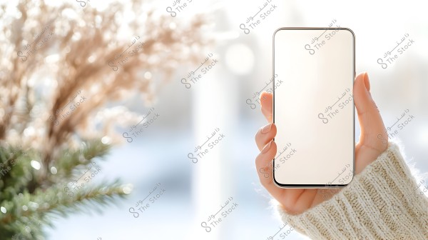 A hand holding a smartphone with a blank screen, wearing a white knitted sweater. In the background, blurred dried flowers and green plants with soft light reflections are visible.