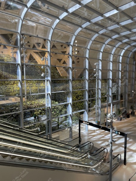 A picture showing the interior of a Riyadh Metro station featuring a wide glass and metal design with natural lighting. There is a vertical garden in the background behind the glass walls, which gives a touch of nature to the place. A moving ladder runs from the bottom up, giving a dynamic to the design. There are guidance signals next to the escalator.