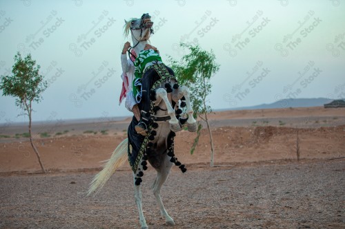 فارس سعودي يمتطي الخيل وضح النهار ويضع علم السعودية حول رقبة الخيل، تعلم الفروسيه، ترويض الخيل، الخيل العربي الأصيل ، هواية ركوب الخيل.