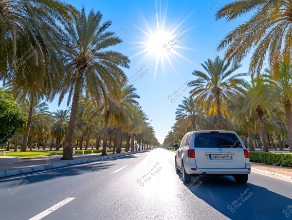 A white car driving down a road lined with palm trees on both sides. The sun is bright in the blue sky, casting long shadows of the palms onto the road.