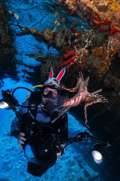 A shot of a diver surrounded by coral reefs and fish in the depths of the sea, oceans and seas, sea creatures, marine life, ocean depths and seas.