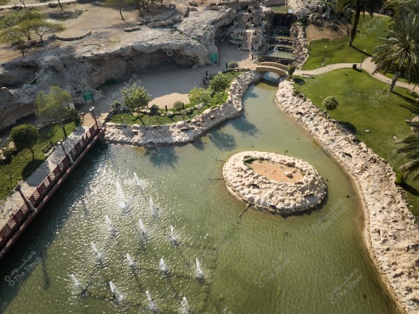 Professional aerial photo of a lake surrounded by a group of trees