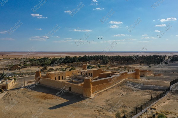 صورة لقلعة عربية تقليدية في وسط الصحراء, محاطة بجدران حجرية وسور دفاعي. يظهر في الخلفية واحة مليئة بالنخيل. السماء فوق القلعة زرقاء صافية مع بعض السحب المتفرقة. الطيور تحلق فوق القلعة, مما يضفي جواً من الحياة على المشهد القاحل.