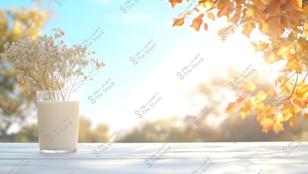 A glass cup filled with milk placed on a white wooden table outdoors. The cup contains a bouquet of white dried flowers. In the background, there is a tree with orange autumn leaves, suggesting a fall atmosphere, with bright sunlight in the blue sky.