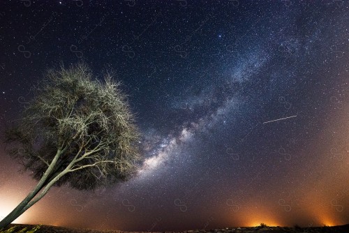 Night shot of a tree in the middle of a desert whose sky is decorated with stars and meteors