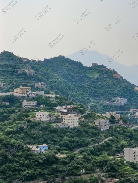 مشهد طبيعي لمنطقة جبلية من محافظة فيفاء بمنطقة جازان جنوب المملكة العربية السعودية خصبة مليئة بالأشجار الخضراء والمنازل المنتشرة على تلالها. تظهر المنازل بتصميم معماري بسيط وموزعة بين المساحات الخضراء المترامية. في الخلفية, تظهر سلسلة من الجبال الضبابية تحت سماء صافية.