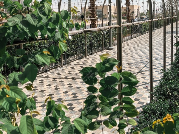 A walkway paved with colorful tiles resembling a chessboard, flanked by several metal columns adorned with small lights. Lush green plants are visibly in the foreground and left side, while palm trees and a building are seen in the background.