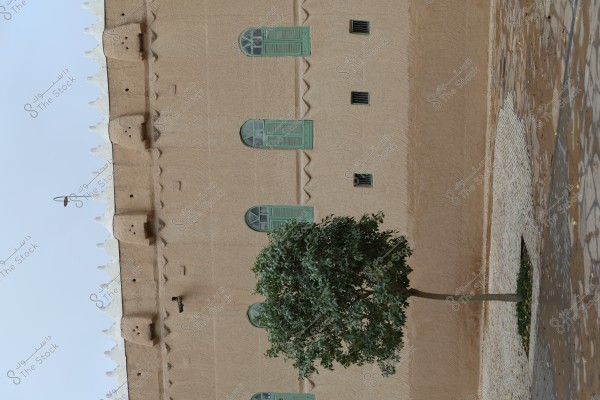 An image of a traditional mud wall featuring rectangular green wooden windows, decorated with ornamental designs. A simple hanging lamp is seen at the top edge. In the foreground, a small green tree is planted in a stone-paved area.