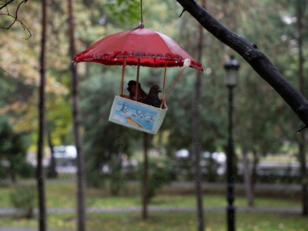 A bird standing inside a small box hanging under a red umbrella in a green park.