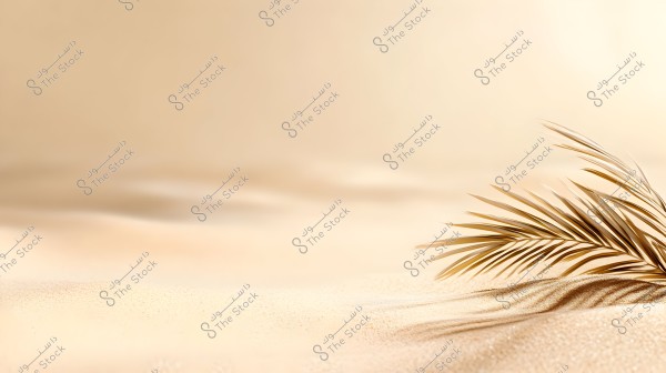 An image showing an expanse of golden sand under the sunlight with soft shadows cast by palm leaves on the right side. The leaves are gently laid, adding a natural touch to the serene desert scene.