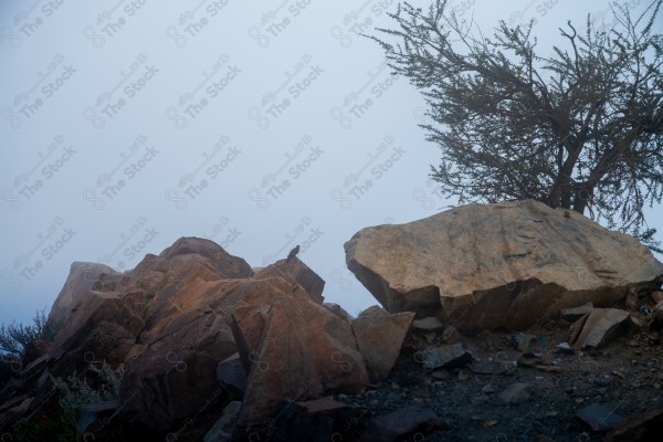 Fog passing over the mountainside from Al Hada, Taif, Saudi Arabia, in winter