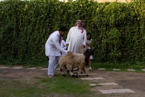 عائلة سعودية مجتمعين في العيد ،خروف العيد  ، الأضحية ، زيارات العيد وتجمع الاسرة، عادات العيد في المجتمع السعودي، أجواء عائلية سعيدة، أعياد ومناسبات.