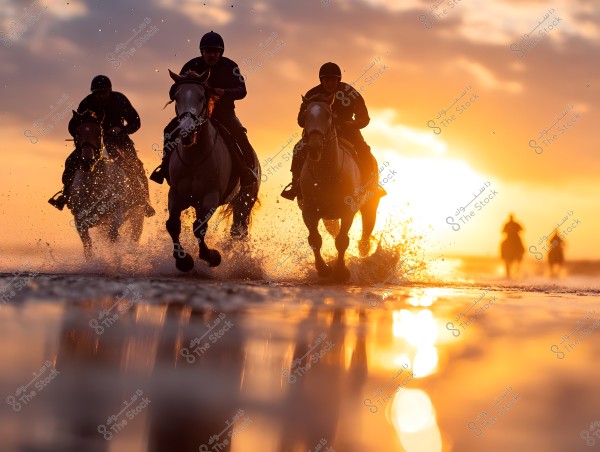 A group of riders on horses galloping along the beach during sunset, with water splashes from the horses\' swift movement. The warm sunlight bathes the scene, creating a lively and dynamic atmosphere.