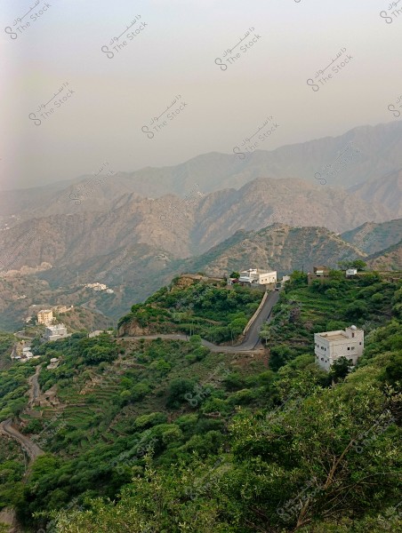 منظر طبيعي لجبال محافظة فيفاء بمنطقة جازان جنوب المملكة العربية السعودية مغطاة باللون الأخضر مع أشجار كثيفة ومنازل متناثرة على رؤوس الجبال. تظهر الطرق تتلوى عبر الجبال, مع منظر شامل للشعاب والمنحدرات العميقة. السماء زرقاء مع لمسة ضبابية في الأفق. تتوزع المنازل باللون الأبيض فوق التلال.