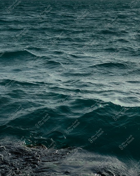 The surface of the sea with small dark blue waves.