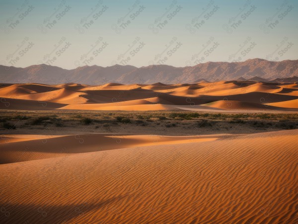 A shot of the golden sand dunes in the Saudi desert and the sky appears clear during the day, the Empty Quarter, desert areas, designed by Ai.