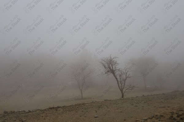 مدينة الباحة الجميلة - ضباب و سحب وطبيعة ساحرة - معالم سياحية المملكة العربية السعودية