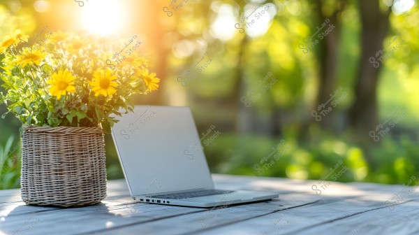 An open laptop on a wooden outdoor table, next to a wicker vase containing bright yellow flowers. In the background, trees and greenery are visible with soft sunlight illuminating the scene.