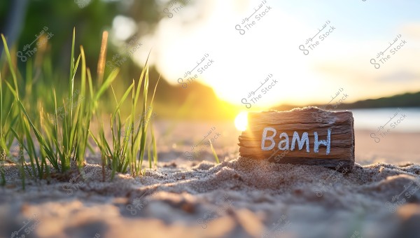 An image of a sandy beach at sunset, featuring tall green plants growing on the sand. To the right, there is a small piece of wood with \"Баям\" written on it. The sun in the background casts a golden glow across the horizon, with faint water visible in the distant backdrop.