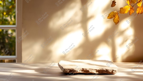 A wooden board illuminated by sunlight from a window on the wall, with surrounding shadow reflections. Yellow autumn leaves are also visible on branches to the right side of the image.