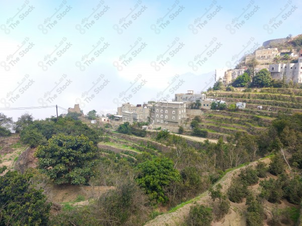 A shot high in the mountains of Faifa Governorate in the Jazan region in southern Saudi Arabia. Trees and forests, nature in Saudi Arabia.