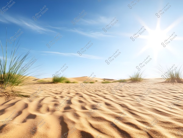 A natural scene of a desert under a clear blue sky with a bright sun. The golden sand forms gentle waves, and scattered desert plants are visible.