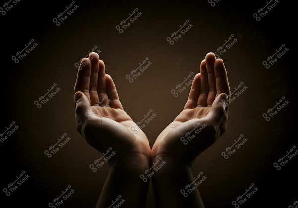 An image of two hands raised in a mirrored position, in a supplicating gesture, against a dark background. The hands are illuminated in a way that highlights the details of the fingers and palms.