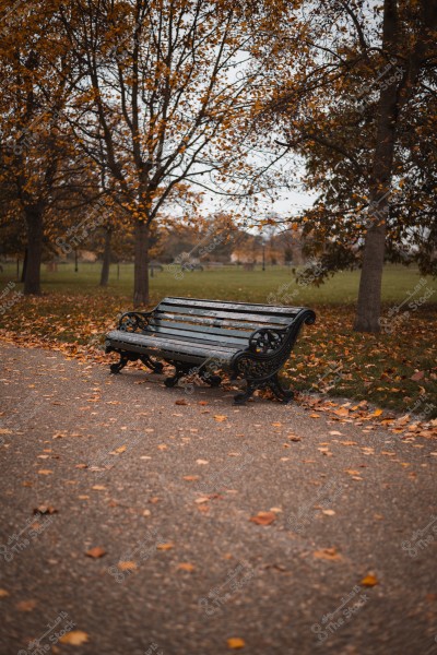 A wooden bench in a park during autumn surrounded by fallen leaves and trees with yellow and orange foliage.