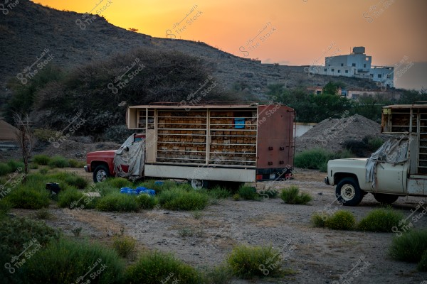 honey bee hives inside a old truck
