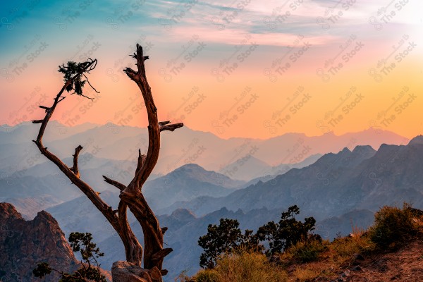 Landscape of Shafa Mountain Taif, Saudi Arabia