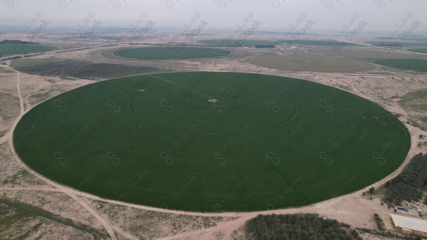 Aerial view of a circular green agricultural field in the middle of a desert, with nearby sandy tracks and small buildings.