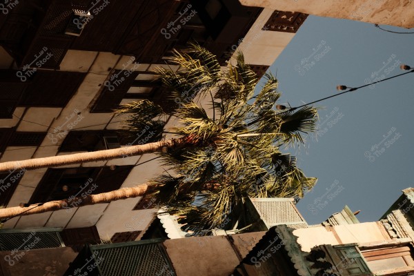 Image shows two tall palm trees next to an old building with traditional design, under a clear blue sky.