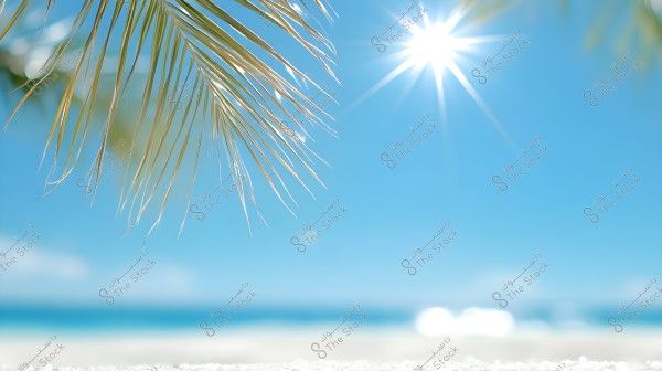 The image depicts a natural beach scene under bright sunlight. In the foreground, there are palm leaves visible on the left side, while the sun shines brightly in the blue sky. The horizon features blue sea water meeting the white sand beach.