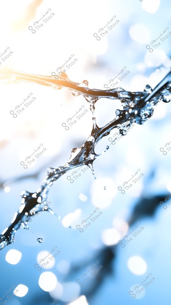 Close-up image of water droplets flowing over slender, transparent branches. The background is blurred with shades of blue, creating a sense of freshness and purity. Light filters in from the top left corner, illuminating the scene with shimmering reflections.