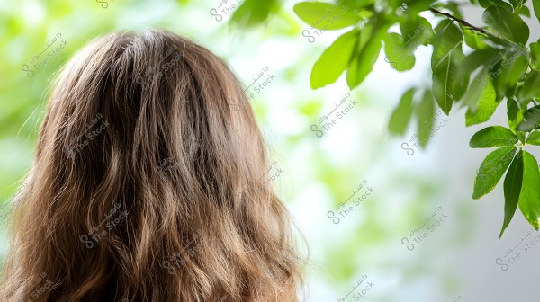 An image showing a woman from behind with long, wavy brown hair. On the right side of the image, there are green leaves of trees, and the background is a blurry green, suggesting a natural environment.