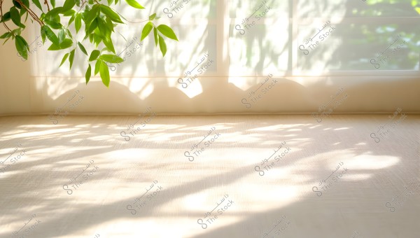 The image shows an open window with sunlight streaming through, casting shadows of green leaves on the wooden floor. The room appears bright and clean, conveying a sense of calm and tranquility.
