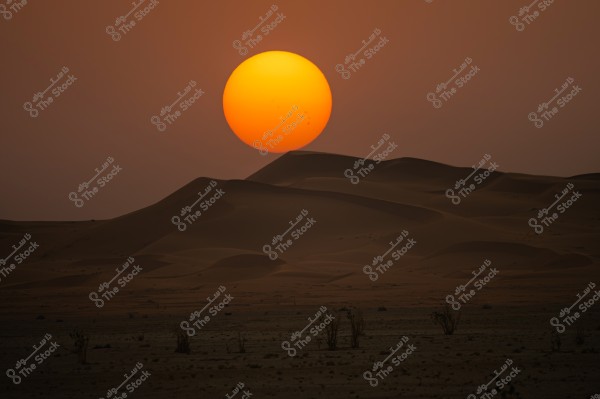 تصوير لصحراء عند غروب الشمس, يظهر قرص الشمس البرتقالي الكبير في الأفق وهو يهبط خلف الكثبان الرملية المتماوجة. تتدرج الألوان بين البرتقالي والبني في السماء والصحراء, وتظهر بعض النباتات الصغيرة متناثرة في المقدمة.