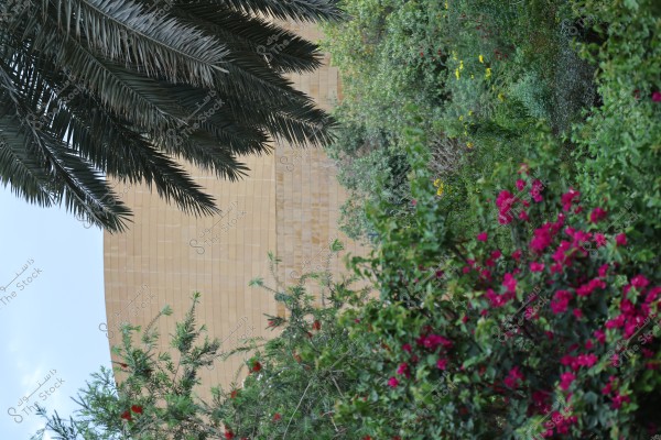 The image shows lush palm tree fronds on the left side, with a garden rich in green plants and bright pink flowers on the right side. There appears to be a brown stone wall in the background.