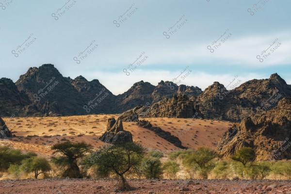 The image shows a natural scene of a mountain with jagged peaks in a desert area. In the foreground, there is rocky soil with scattered green trees. Gradually, the rocks ascend to the sandy desert plateau, where wind patterns are visible on the sand. The sky in the background is blue and calm.