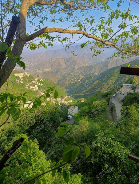 منظر طبيعي خلاب يظهر سلسلة جبال مغطاة بالخضرة الكثيفة مع بيوت متناثرة على سفوحها. في المقدمة, تظهر أغصان شجرة خضراء تضيف عمقاً إلى الصورة. الطريق الجبلي الضيق يظهر على الجانب الأيمن من الصورة, والأفق يمتد بعيداً, مع جبال تمتد إلى الخلفية تحت السماء الزرقاء الصافية.