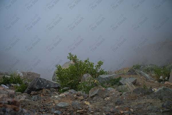 Fog passing over the mountainside from Al Hada, Taif, Saudi Arabia, in winter